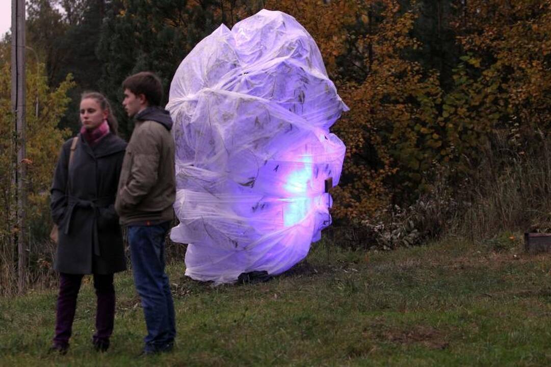 Pilaitės rajonas sužibo šviesų instaliacijomis