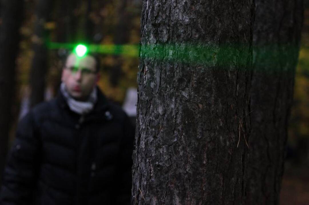 Pilaitės rajonas sužibo šviesų instaliacijomis