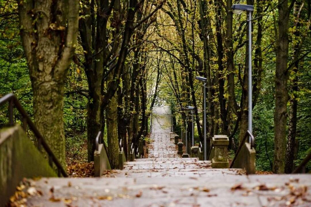 Kopdami Kauno laiptais nebeišsisuksime kojos?