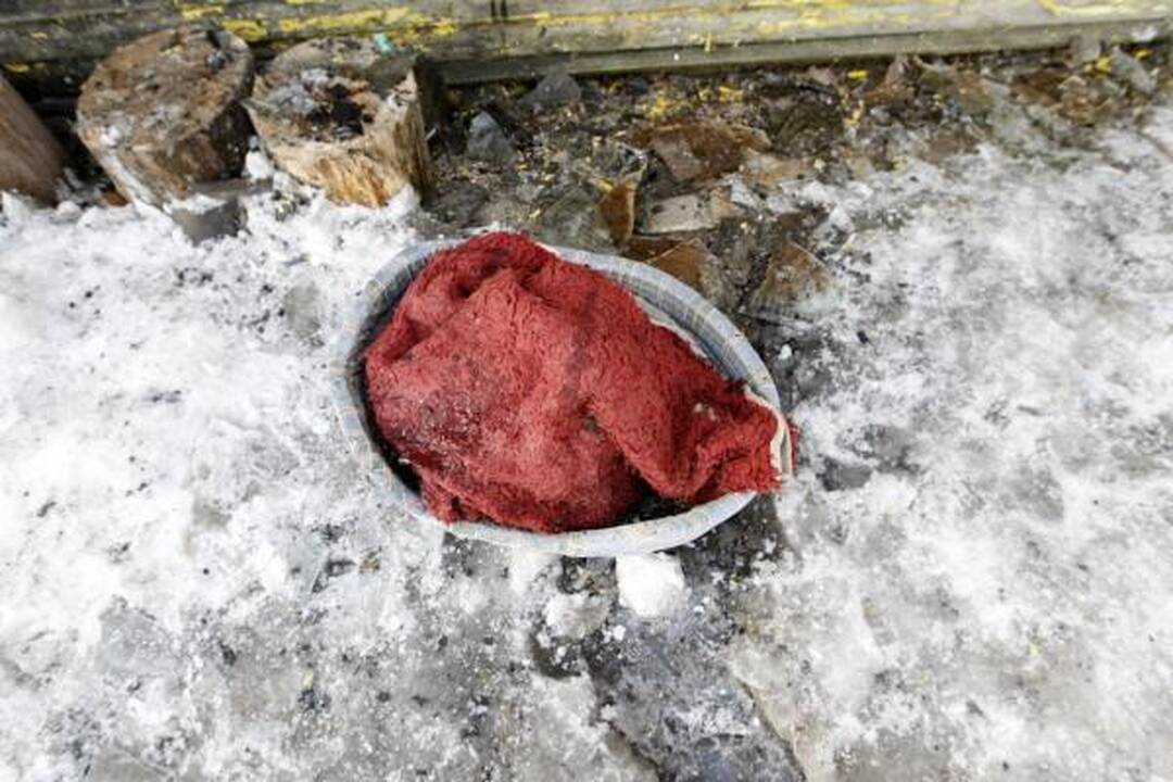 Klaipėdoje sudegė gyvūnų prieglauda – žuvo visi gyvūnai (papildyta)