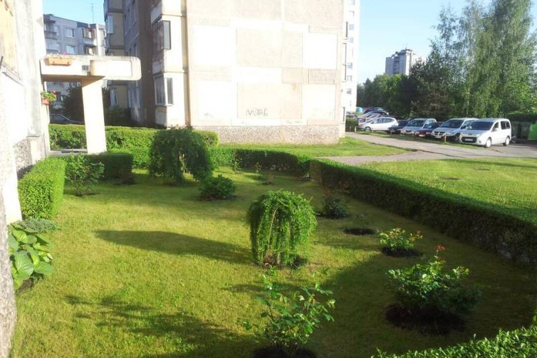 Gėlyno puoselėjimas – tam tikra meditacijos forma?