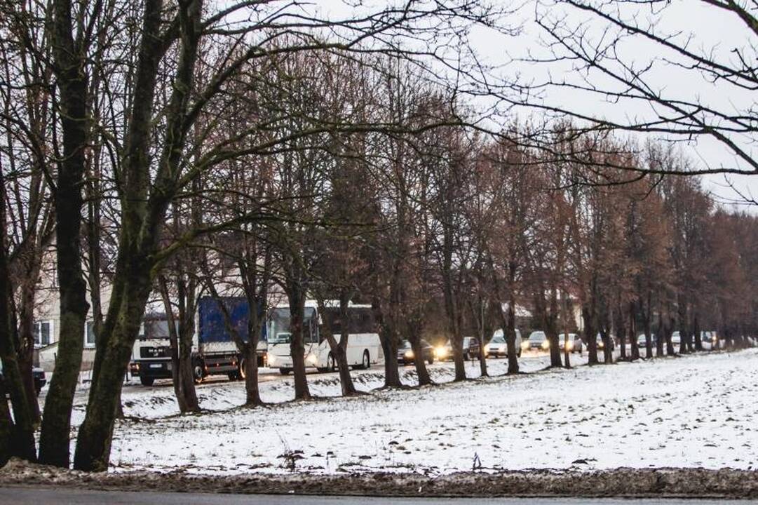 D.Grybauskaitė: moterų politikoje vis dar nepakanka