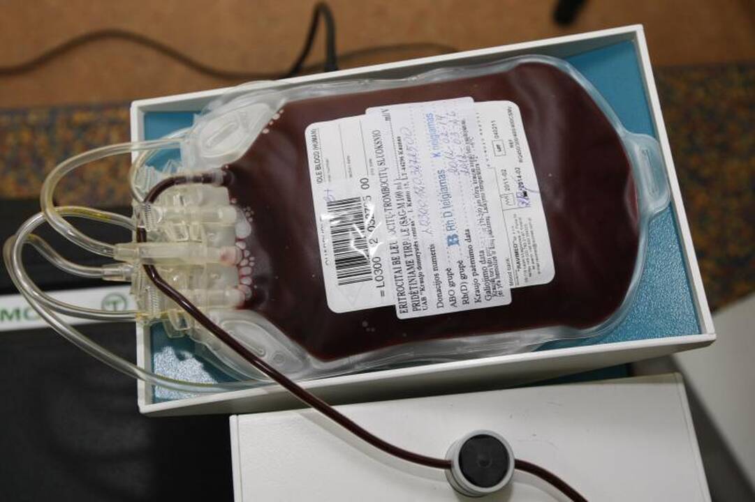 Valentino dieną būsimieji jūrininkai įprasmino savaip