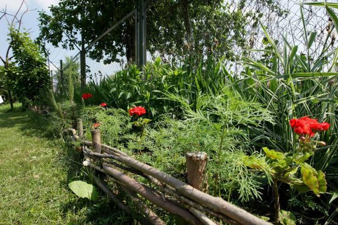 Daugiabučiai namai: kiemai kartais tampa mūšio lauku