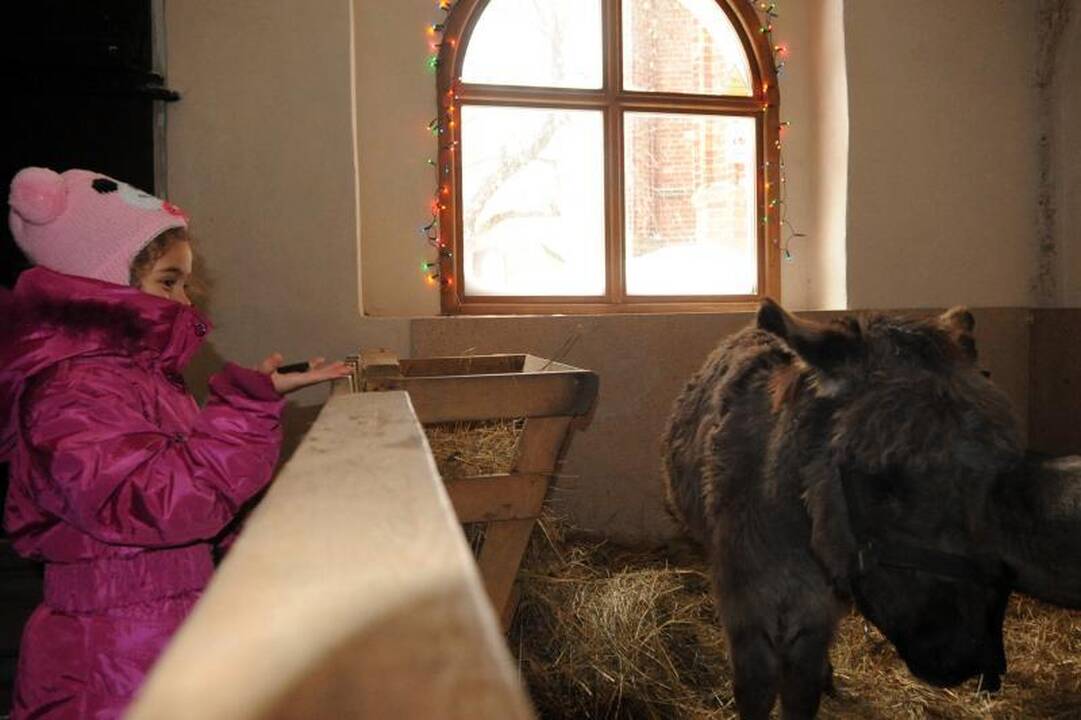 Asiliukas bažnyčioje jaučiasi lyg sanatorijoje