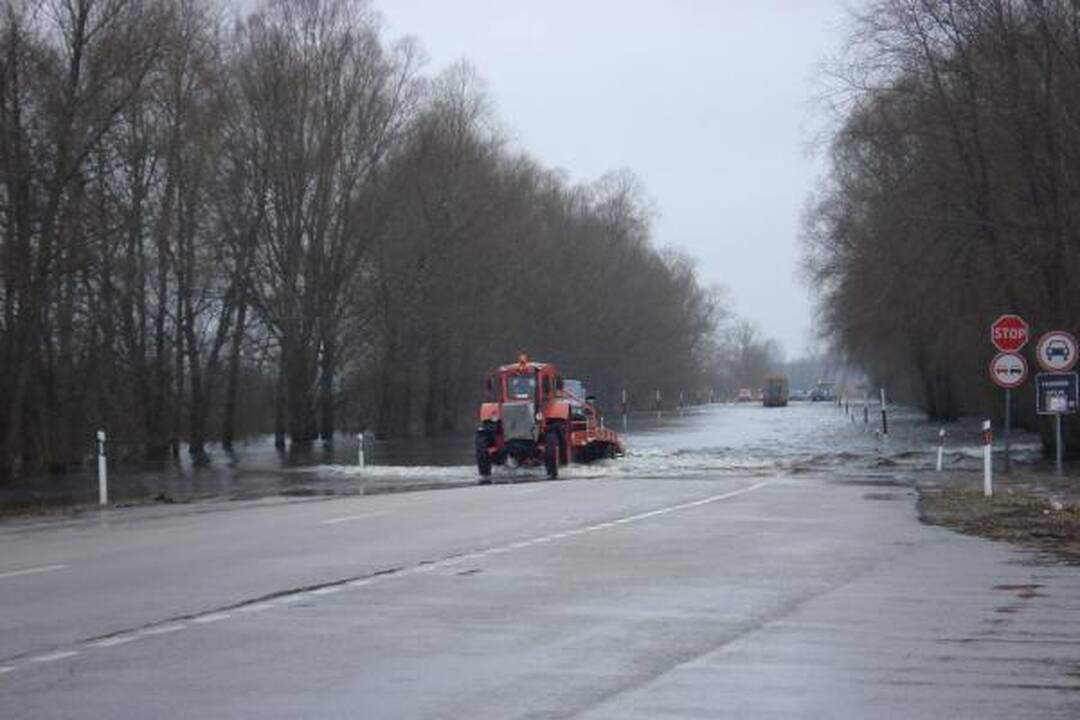 Šaktarpio šventė: automobilių eilės Rusnėje