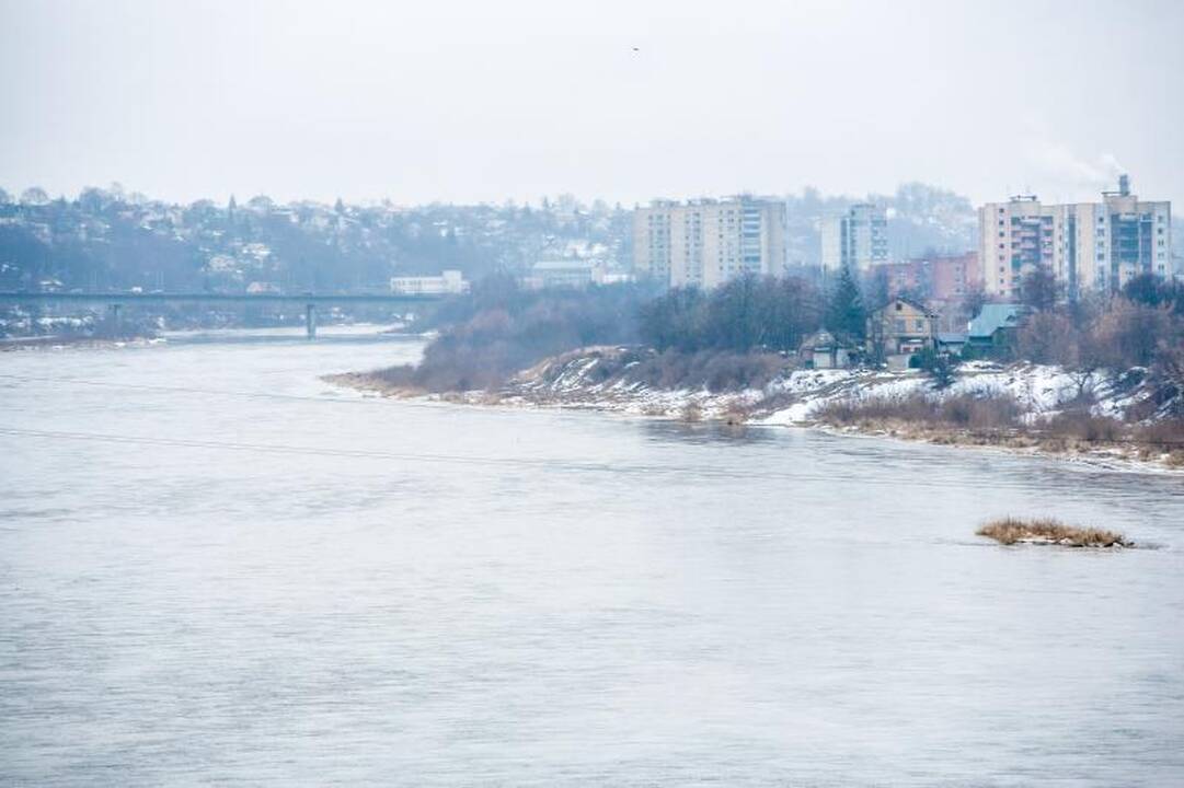 Kaunui ir jo apylinkėms potvynis kol kas negresia