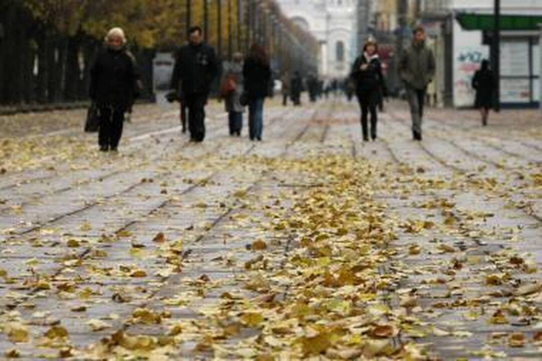 Lapai mieste: šiukšlės ar grožis?
