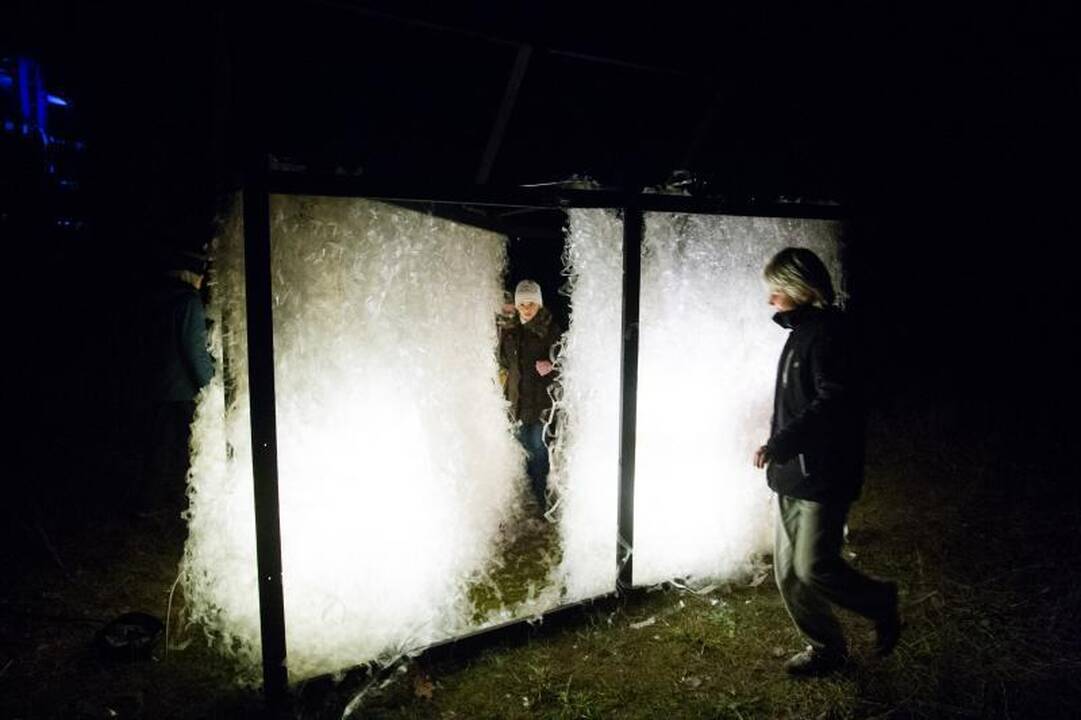 Pilaitės rajonas sužibo šviesų instaliacijomis