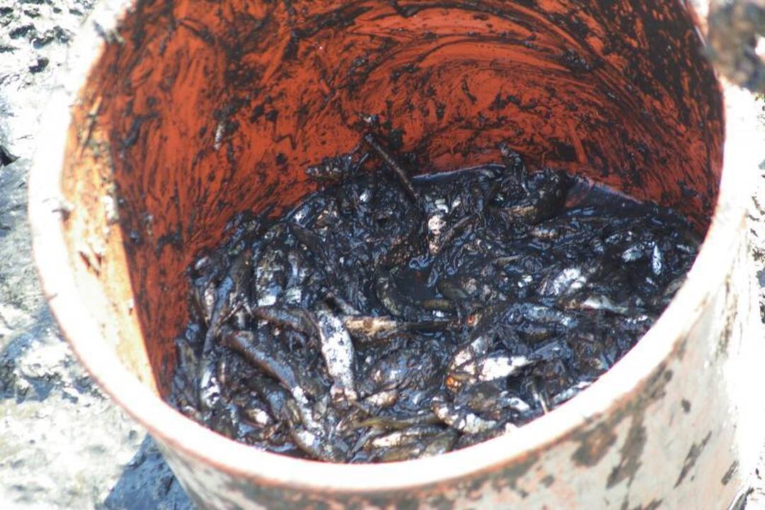 Degučių     tvenkinys išnyko per vieną naktį