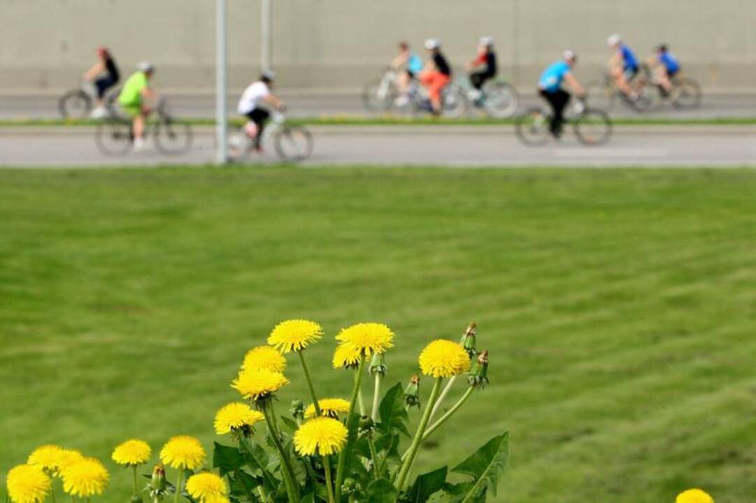 Kaune sekmadienį surengtas dviračių maratonas
