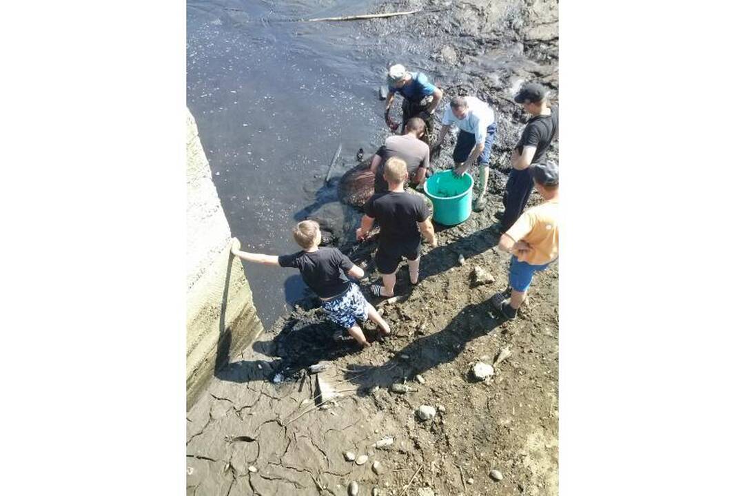 Degučių     tvenkinys išnyko per vieną naktį