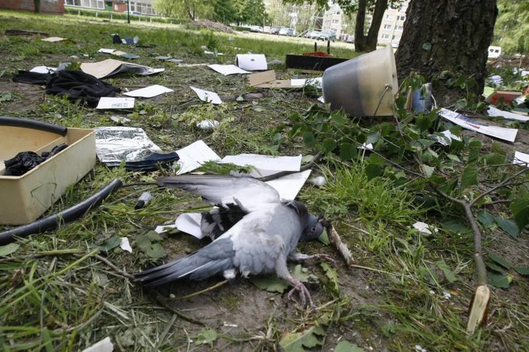 Psichikos ligonis Klaipėdoje visą naktį iš 9 aukšto mėtė daiktus