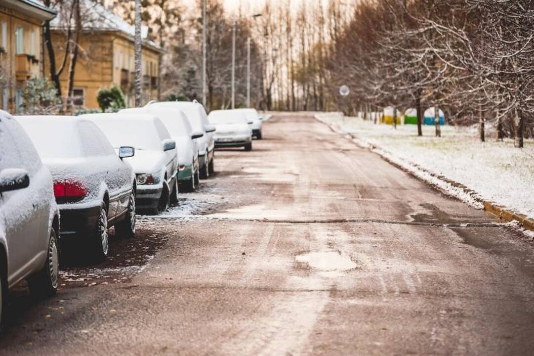 Vilniaus savivaldybės rinkimuose pirmauja V.Tomaševskio koalicija