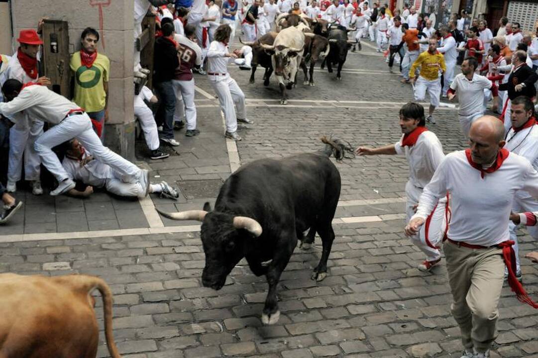 Ispanijoje per bulių varymą nukentėjo dar keturi bėgikai