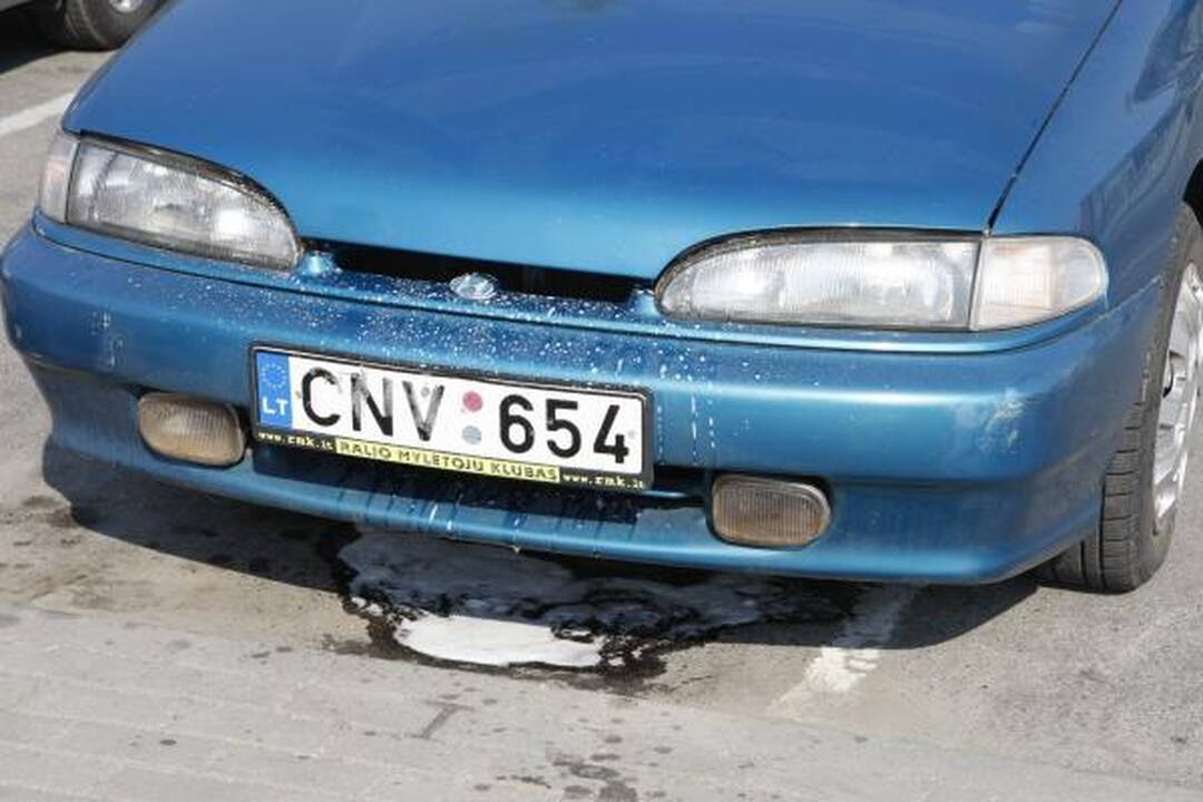 Prie „Studlendo“ užsidegė automobilis