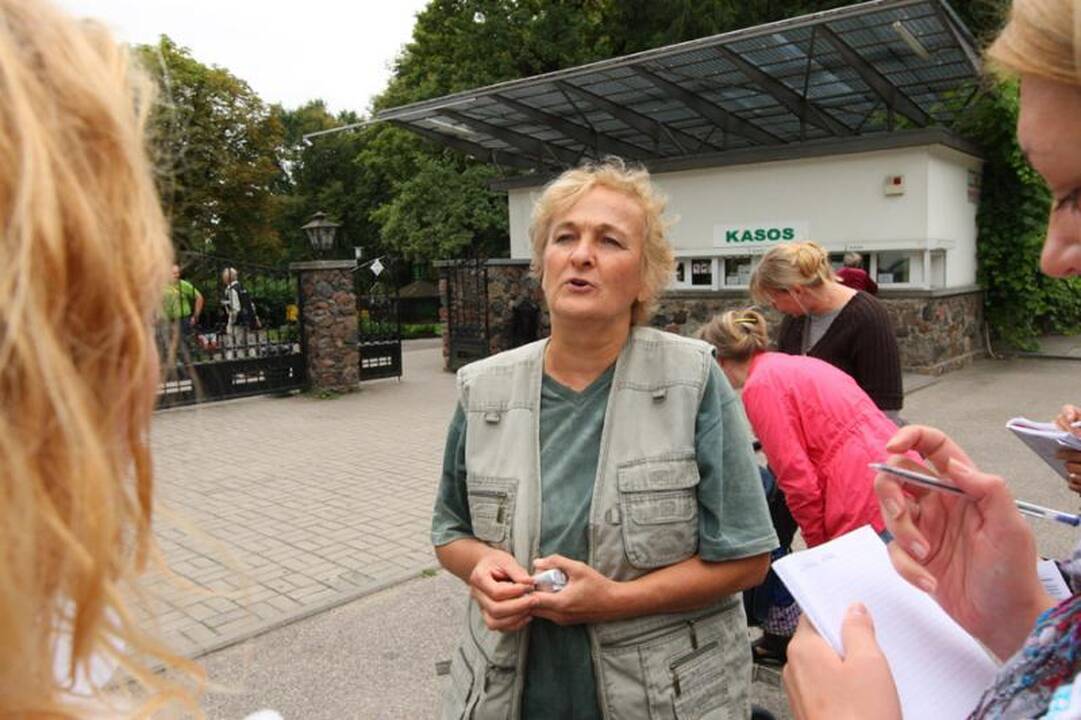 Lūšiukė mokysis gyventi laisvėje