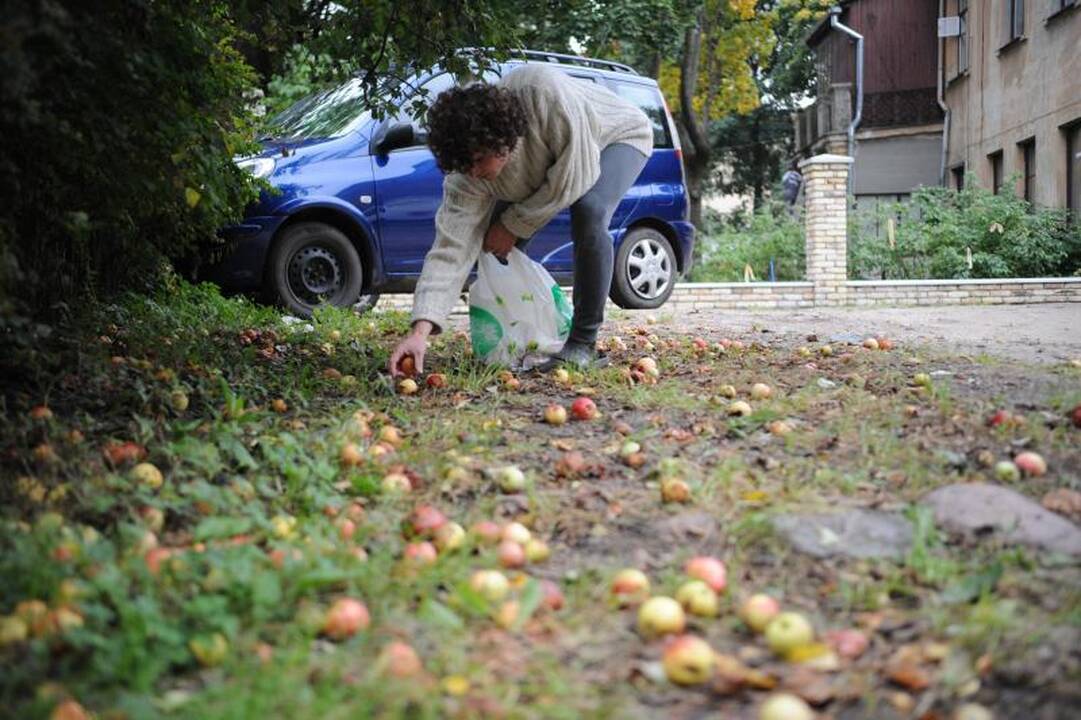 Rudens lygiadienis: miesto nuotaikos trumpėjant dienoms