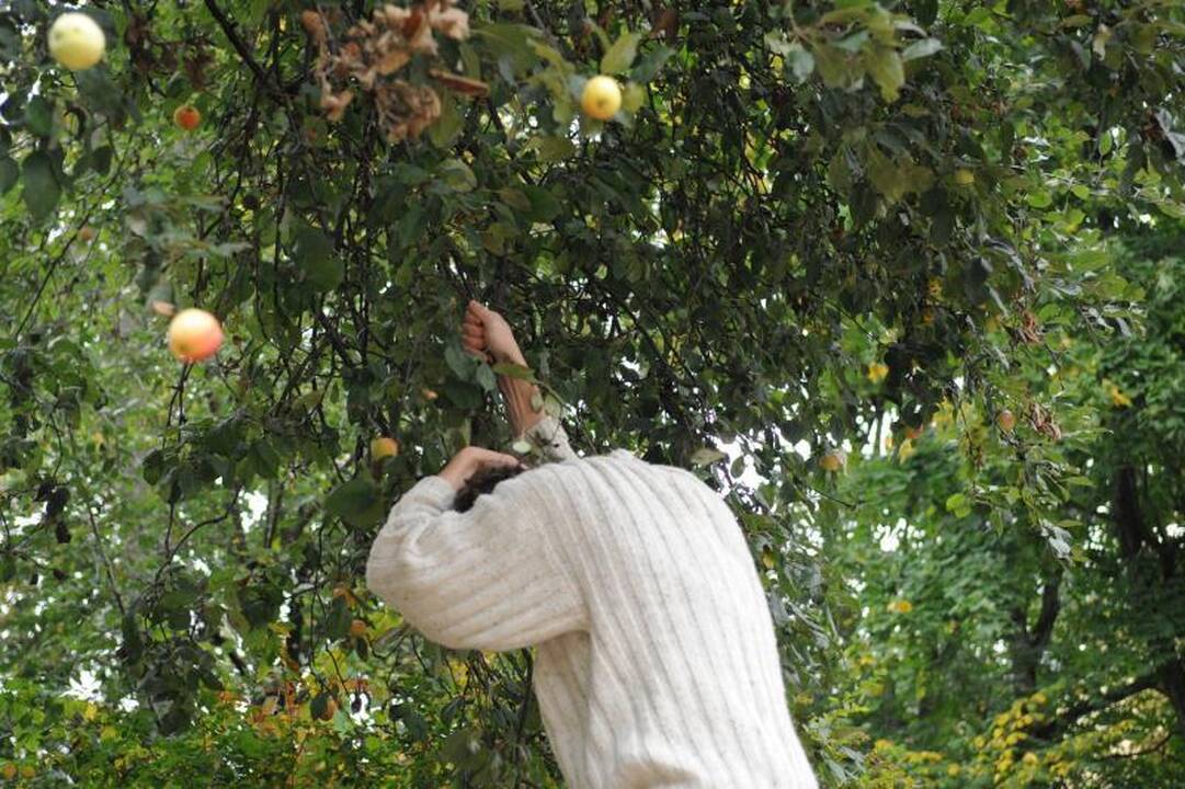 Rudens lygiadienis: miesto nuotaikos trumpėjant dienoms
