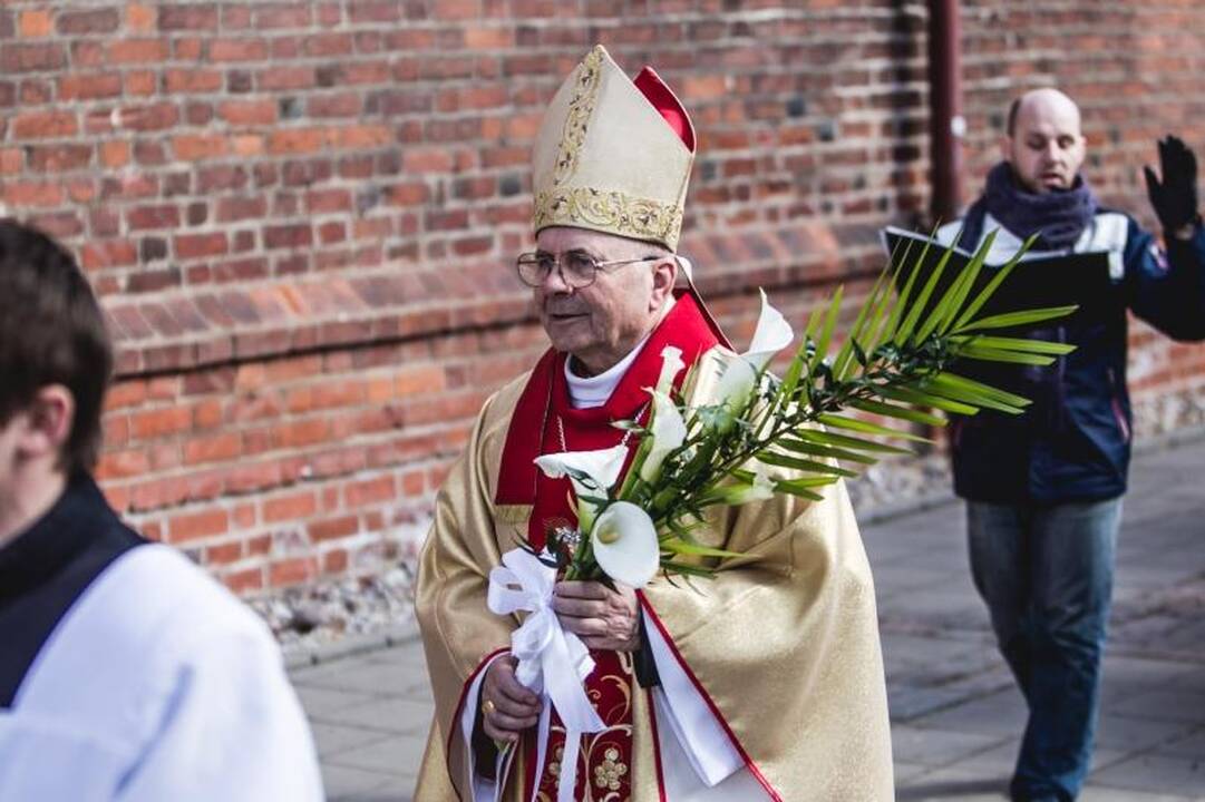 Verbomis puoštas Kristaus Kančios sekmadienis