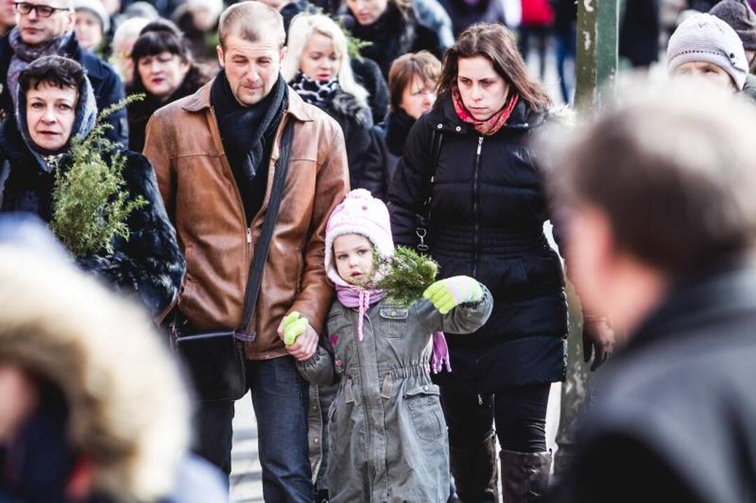Verbomis puoštas Kristaus Kančios sekmadienis