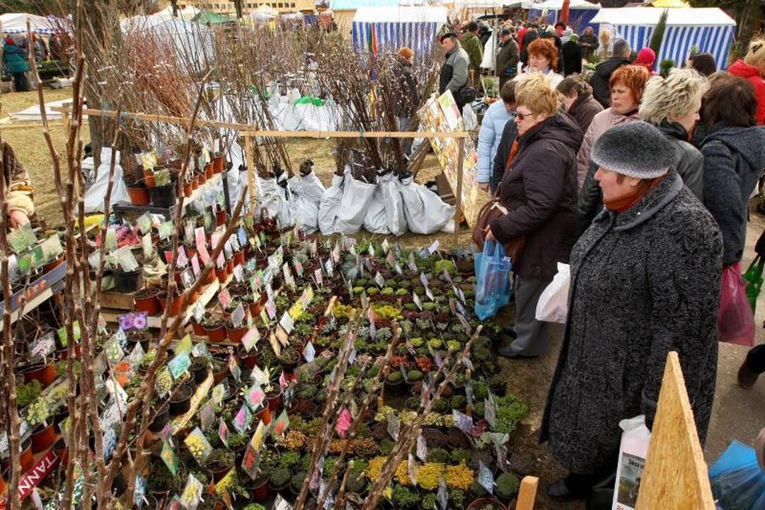 Kaune prasidėjo žemės ūkio paroda „Ką pasėsi... 2012“