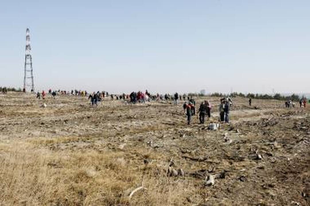 Pakrančių apsaugos pasieniečiai sodino pušaites