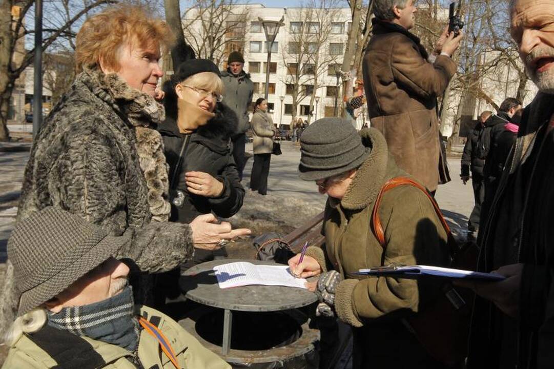 Patriotiniame mitinge - skirtingos pilietinės nuotaikos