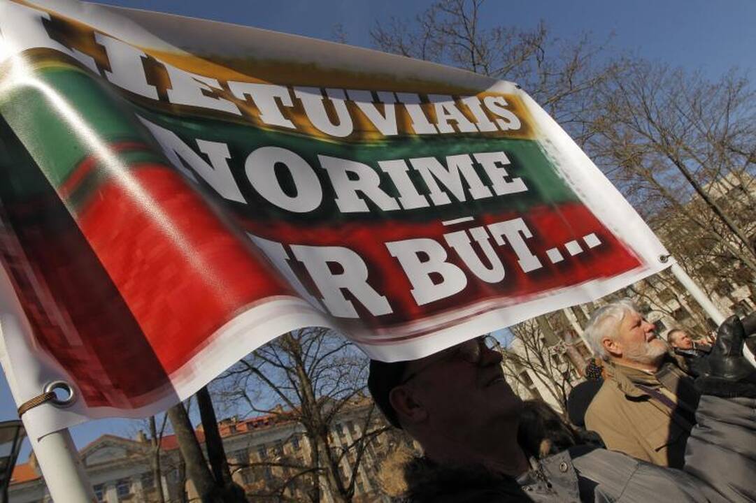 Patriotiniame mitinge - skirtingos pilietinės nuotaikos
