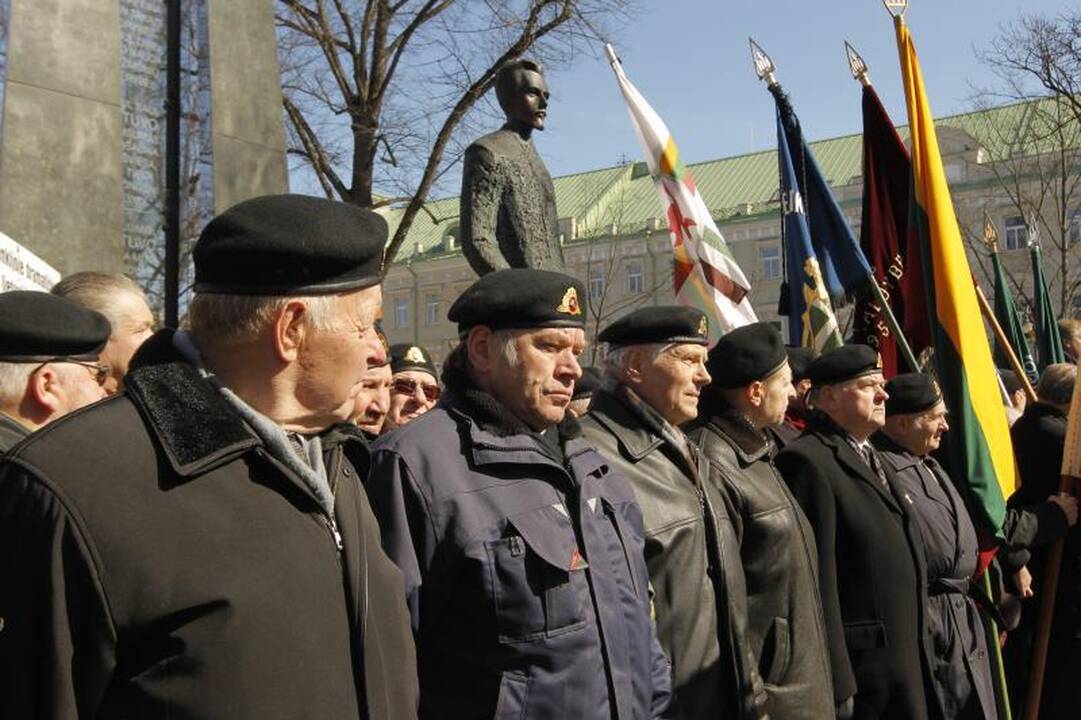Patriotiniame mitinge - skirtingos pilietinės nuotaikos