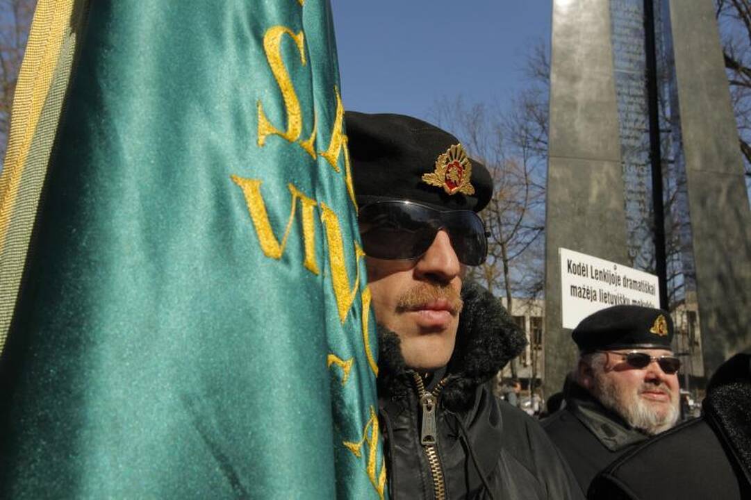 Patriotiniame mitinge - skirtingos pilietinės nuotaikos
