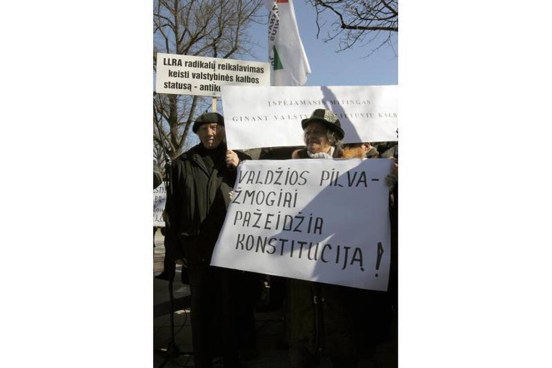 Patriotiniame mitinge - skirtingos pilietinės nuotaikos