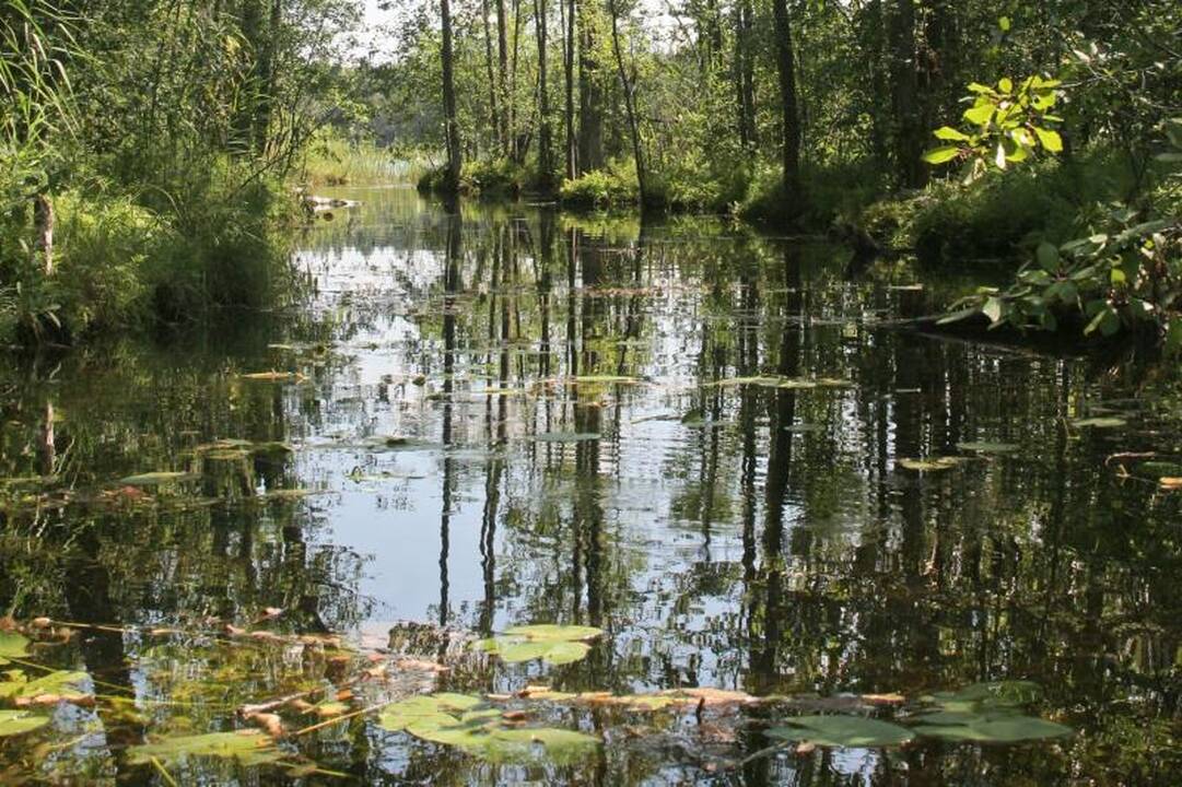Kamanų rezervate duris atvėrė įspūdinga gamtos ekspozicija