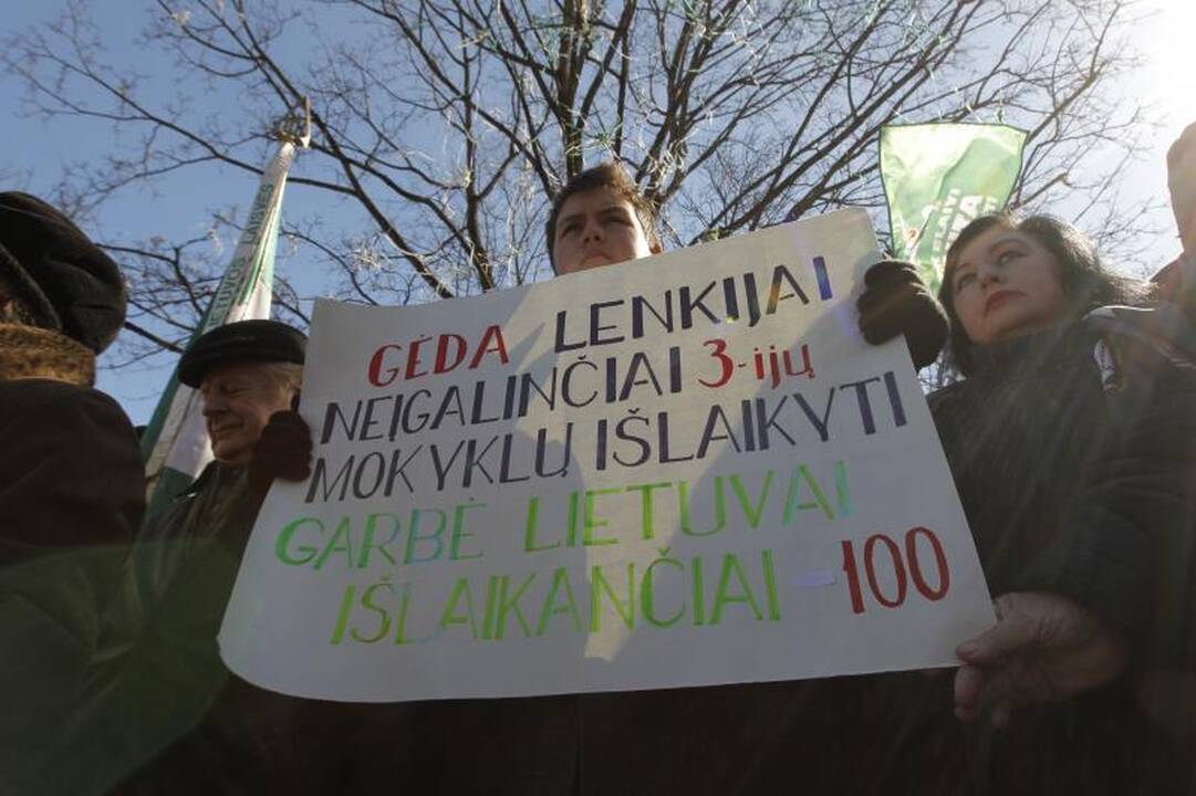 Patriotiniame mitinge - skirtingos pilietinės nuotaikos