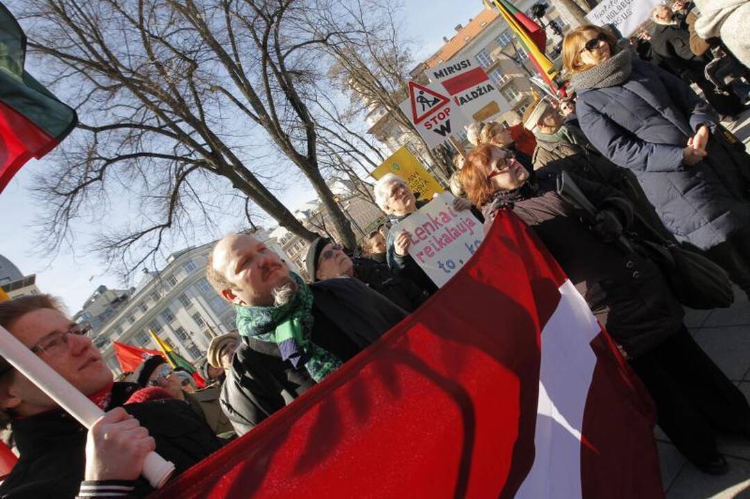 Patriotiniame mitinge - skirtingos pilietinės nuotaikos