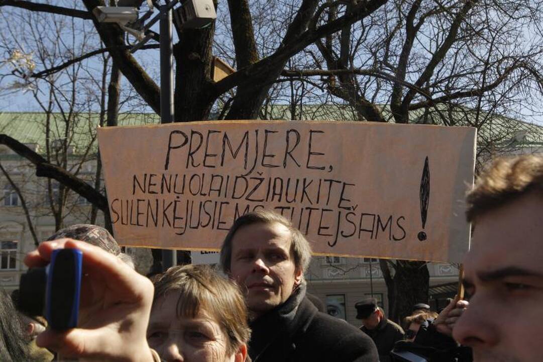 Patriotiniame mitinge - skirtingos pilietinės nuotaikos