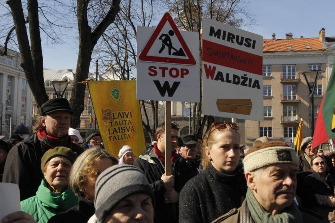 Patriotiniame mitinge - skirtingos pilietinės nuotaikos