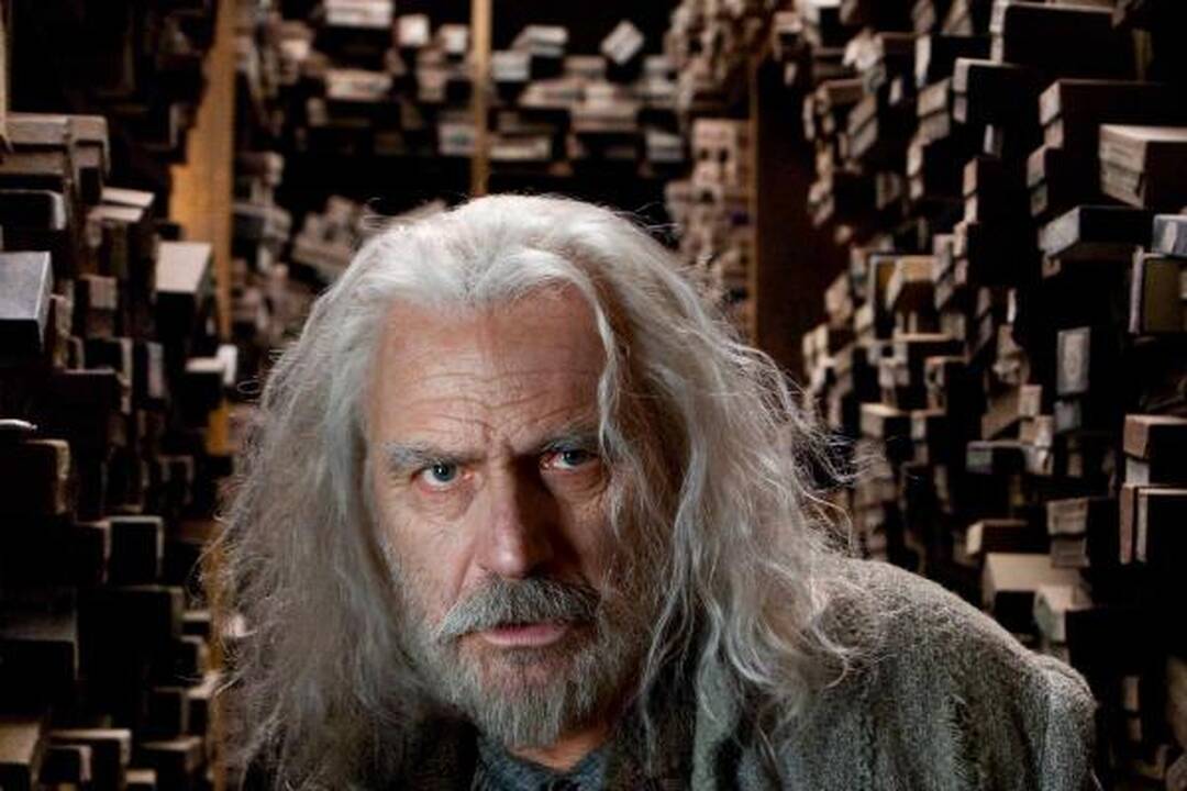 Lapkritį į kino ekranus sugrįš Haris Poteris