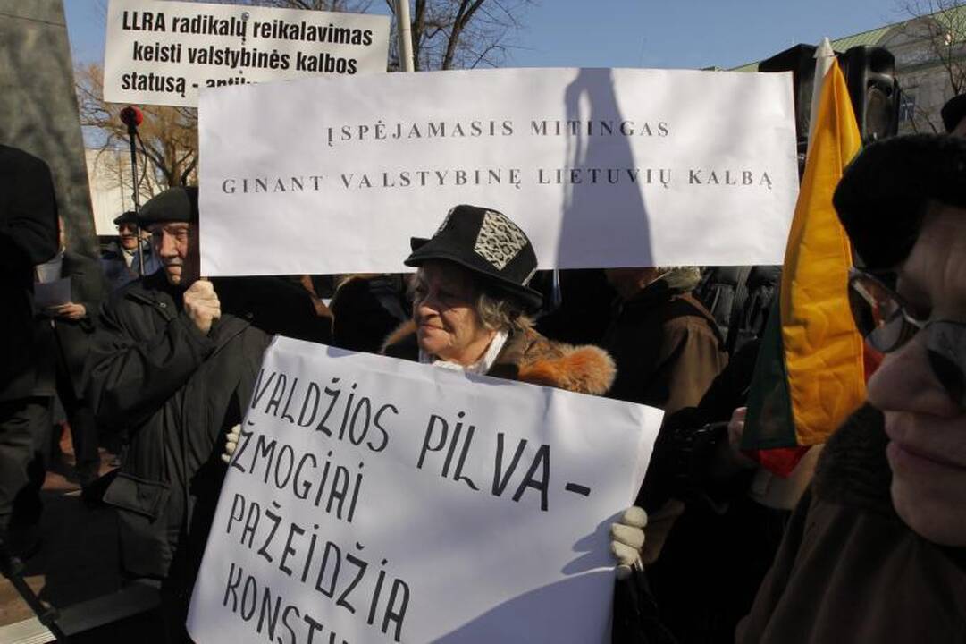 Patriotiniame mitinge - skirtingos pilietinės nuotaikos