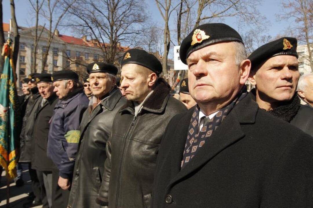 Patriotiniame mitinge - skirtingos pilietinės nuotaikos