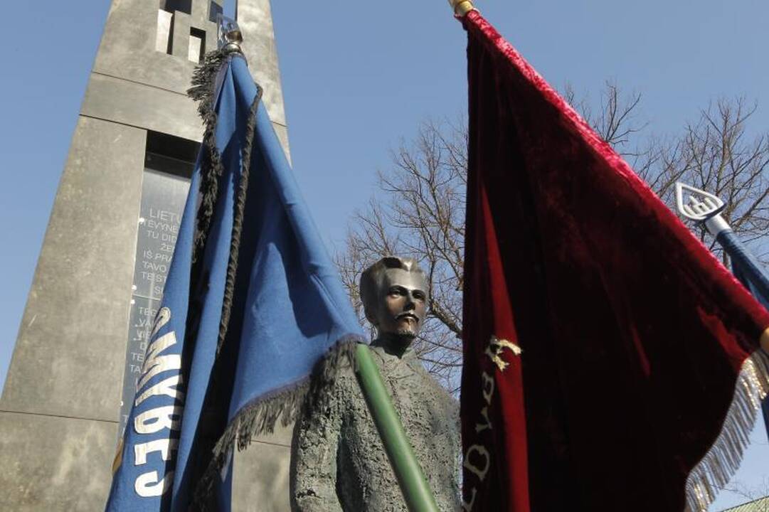 Patriotiniame mitinge - skirtingos pilietinės nuotaikos