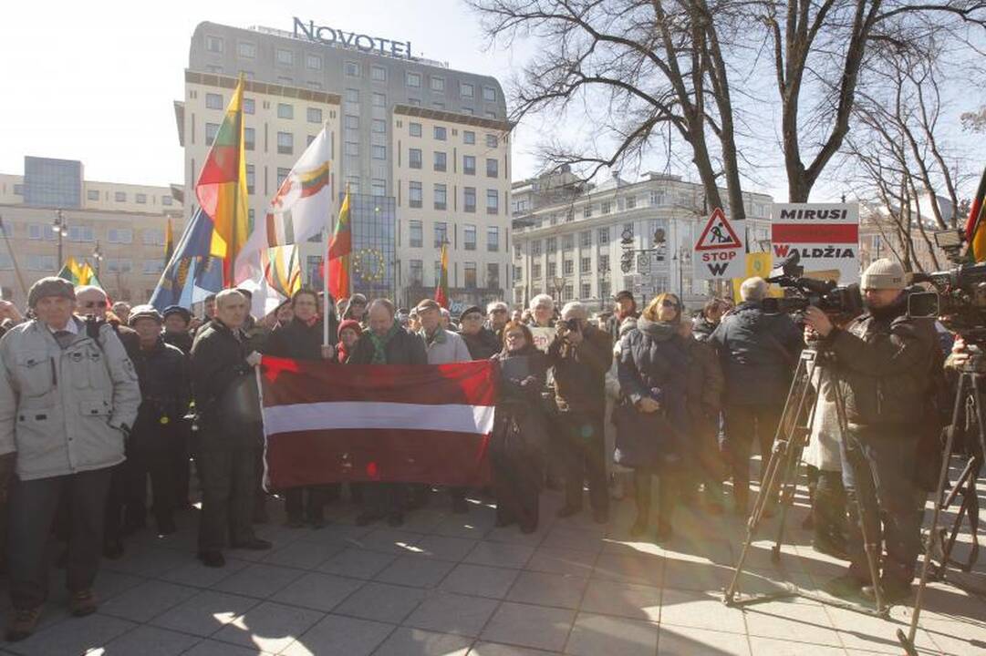 Patriotiniame mitinge - skirtingos pilietinės nuotaikos