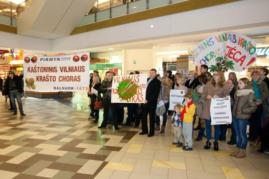 Kaštoninis Vilniaus krašto choras nusiteikęs laimėti