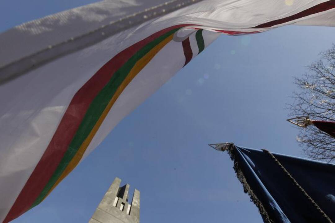 Patriotiniame mitinge - skirtingos pilietinės nuotaikos