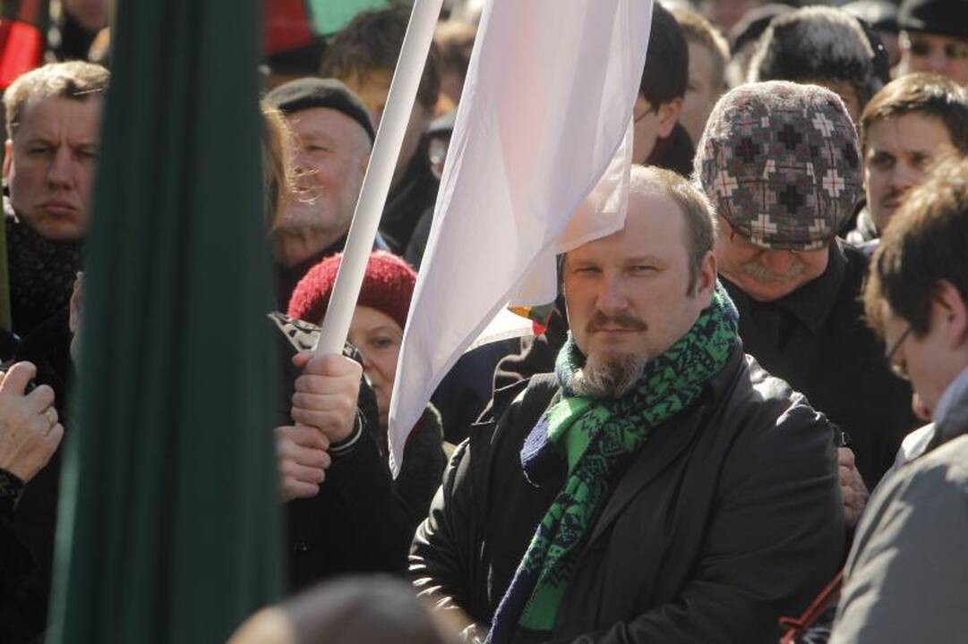 Patriotiniame mitinge - skirtingos pilietinės nuotaikos
