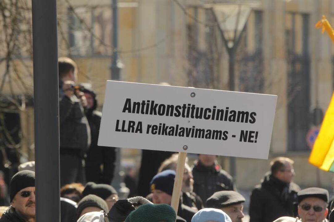 Patriotiniame mitinge - skirtingos pilietinės nuotaikos