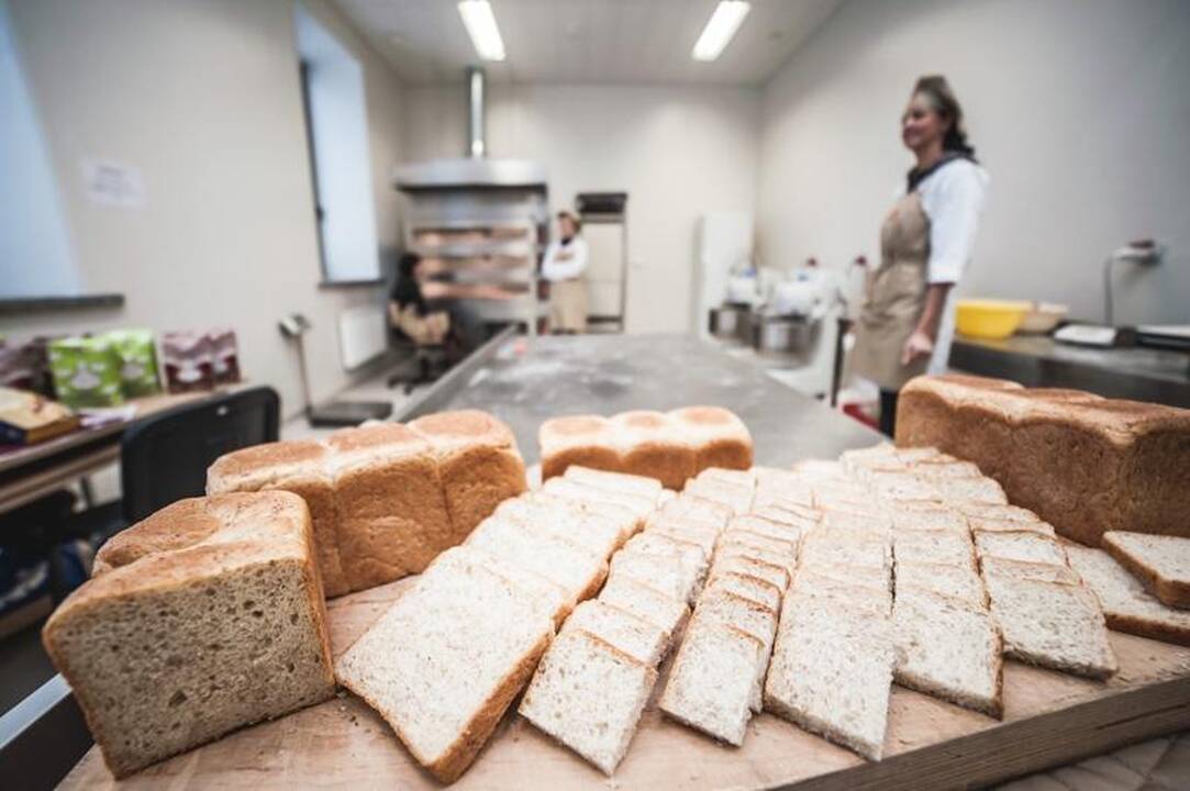 KTU mokslininkai ieško atsakymų, kokį maistą valgysime po 50 metų