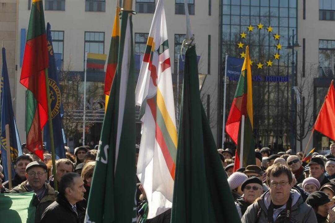 Patriotiniame mitinge - skirtingos pilietinės nuotaikos
