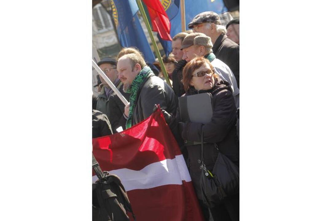 Patriotiniame mitinge - skirtingos pilietinės nuotaikos