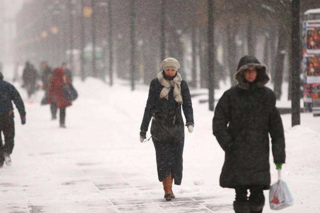 A. Kupčinskas: nelaukit Kalėdų senio, kuris atkastų kiemus